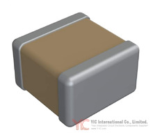 1111Y2001P20CQT Image