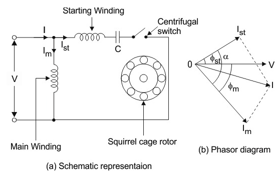 Figure 3. Capacitor Start Run Induction Motor